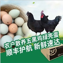 农户散养五黑鸡绿壳鸡蛋50枚/盒 顺丰速递新鲜直达