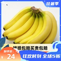 高山州香蕉10斤优惠装新鲜水果生鲜水果整箱现摘现发绿青香蕉