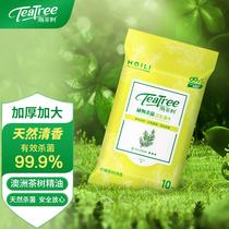 海茶树茶树精油天然杀菌湿巾柠檬茶树清香天然除菌