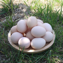 农家散养溜达鸡土鸡蛋新鲜柴鸡蛋笨鸡月子鸡蛋30枚老北京油鸡蛋