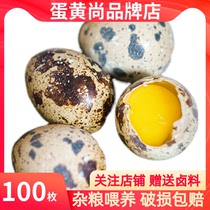 农家杂粮新鲜鹌鹑蛋100枚鹌鹑蛋生蛋鹑鸟蛋宝宝辅食生鹌鹑蛋包邮全国
