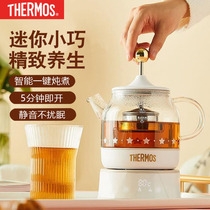 膳魔师（THERMOS） 迷你养生壶便捷办公室煮茶器家用多功能花茶壶