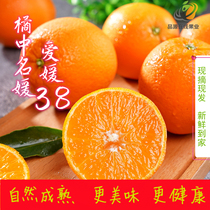 爱媛38号果冻橙新鲜健康橙子正宗四川眉山柑橘桔子当季水果