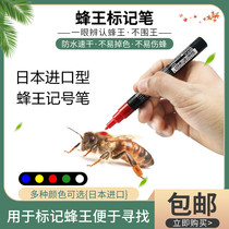 蜜蜂蜂王标记笔记号笔进口防水速干涂色笔不掉色养蜂育王工具包邮