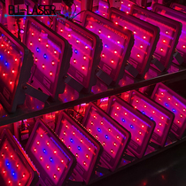 658nm450nm红蓝LD光合作用激光植物生长灯大棚蔬菜水果激光补光灯