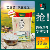 台山五星丝苗米长粒5斤香米大米23年新米15kg小农粘米煲仔饭专用