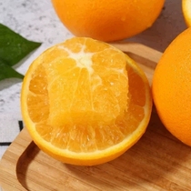 湖南怀化脐橙湘西纽荷尔高山橙子应季新鲜水果天然薄皮多汁橙包邮
