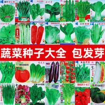 蔬菜种子菜种籽菜园盆栽耐热香菜豆角空心菜各种瓜果四季蔬菜种孑