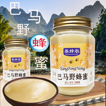 桂林周氏养蜂农巴马野蜂蜜800g结晶百花蜜玻璃瓶装波美度42度蜂蜜