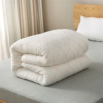 盖被秋季被子单人睡垫中学生便携宿舍床床铺1.0m10斤棉花被棉被