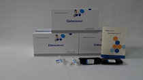 Elabscience®谷丙转氨酶ALT/GPT比色法测试盒 赖氏法E-BC-K235-M