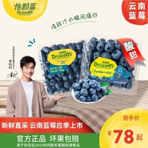 【云南季】Driscoll's怡颗莓云南蓝莓新鲜应季水果中果/大果125g