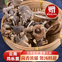 鸡枞菌干货500g野生菌菇云南菌子特产蘑菇鸡枞菇营养菌菇煲汤食材