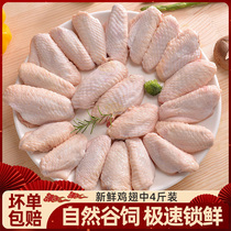 鸡翅冷冻生鲜翅中新鲜半成品烧烤食材空气炸锅家用鸡中翅商用批发