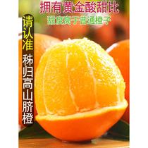 橙子新鲜水果当季整箱10斤冰糖甜超伦晚夏橙秭归脐橙榨汁商用