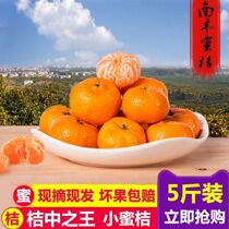 江西南丰蜜桔子新鲜水果黄橘子薄皮应季时令水果小贡橘沙糖桔