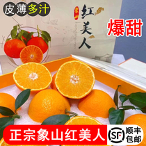 正宗象山红美人柑橘顺丰5水果礼盒装爱媛28果冻橙子新鲜现摘整箱