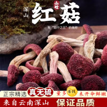 云南土特产旗舰店营养菌菇类干货野外生红菇红蘑月子孕妈滋补菌
