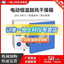 上海一恒鼓风干燥箱DHG-9030A工业烘干箱电热恒温实验室一恒烘箱