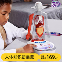 科学罐头人体解剖模型器官骨骼结构拆卸儿童教学玩具身体语音百科