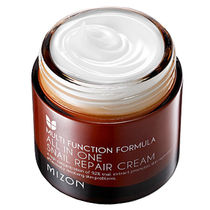 Original MIZON All In One Snail Repair Cream Skin Care Moist
