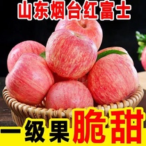 山东烟台红富士苹果水果10斤装当季整箱礼盒新鲜栖霞冰糖心苹果