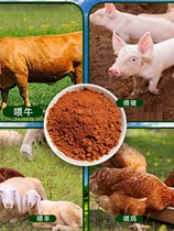甘蔗养殖红糖粉散装50斤畜牧养殖专用牛羊猪兽用家禽袋装红糖商用