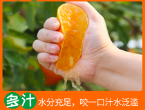 四川省眉山市核心产区自家爱媛果冻橙套袋货橘子橙子农家超值热卖