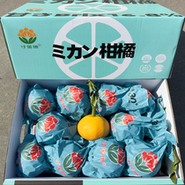 新货寸金地春见粑粑柑8斤礼盒装味甜多汁新鲜柑橘四川农产品 包邮