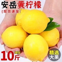 四川安岳黄柠檬10斤当季新鲜水果精选皮薄香水鲜甜柠檬青整箱包邮