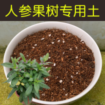 人参果树土专用土配方营养土盆栽椰糠泥炭土壤种植物有机花土花肥