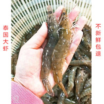 新鲜海虾 冰鲜基围虾500g 超大基围虾重庆海鲜水产 当天刚死的