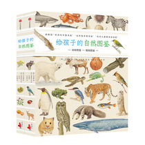 套装2册给孩子的自然图鉴  呈现700多种动植物的生命形态7-10岁少儿儿童科普读物动物图鉴植物图鉴中小学生自然百科全书中信童书