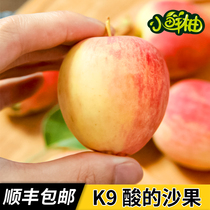 东北K9酸沙果顺丰包邮开久海棠花红小苹果特产新鲜水果孕妇酸口味