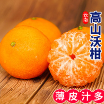 云南高山沃柑新鲜当季9斤大果水果 桔子橘子砂糖甜橘甜柑包邮整箱