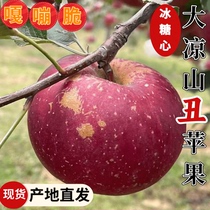 大凉山丑苹果新鲜水果当季现摘冰糖心红富士盐源苹果10斤整箱平果