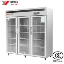银都六玻璃门保鲜冷藏展示柜 商用饮料陈列柜蔬菜水果点菜柜冰柜