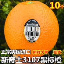 美国进口新奇士黑标3107脐橙当季时令新鲜水果多汁橙大果10个包邮