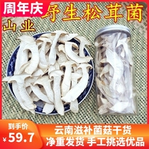 野生松茸干片 云南山珍美味50克瓶装野生菌香菇羊肚菌味道鲜美