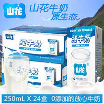 贵州山花纯牛奶整箱24盒批特价儿童成长补钙奶学生早餐无添加牛奶