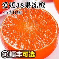 正宗四川爱媛38号果冻橙10橙子水果新鲜当季整箱斤甜橘橙年货送礼