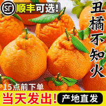 四川不知火丑橘水果新鲜当季整箱9斤丑八怪耙耙桔柑橘子粑粑10