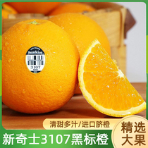 美国新奇士橙3107黑标脐橙大果进口sunkist澳橙甜橙子水果