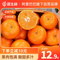 云南沃柑正宗当季新鲜砂糖桔子现摘柑橘子时令水果整箱包邮蜜桔