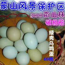绿壳乌鸡蛋正宗新鲜农家村散养绿皮土天然草竹林食用笨本柴纯40枚