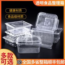 一次性塑料食品包装盒整理箱蛋糕面包框麻花糕点一斤二斤装桃酥盒