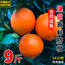 超甜橙子江西赣州赣南品种脐橙纽荷尔9斤5新鲜水果当季整箱大果10