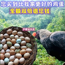 沂蒙山正宗散养土鸡蛋新鲜农村野外月子孕本柴有机虫草笨鸡蛋50枚