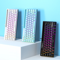 狼蛛61键机械手感键盘有线小型RGB笔记本电脑游戏办公打字专用64