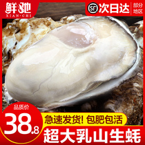 乳山生蚝鲜活10新鲜海蛎子5斤带箱海鲜特大牡蛎贝壳即食水产批发